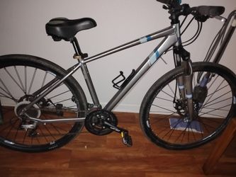 Diamondback calico 2025