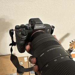 Sony Alpha 7 IV + Sigma 100-400 & Tamron 28-75