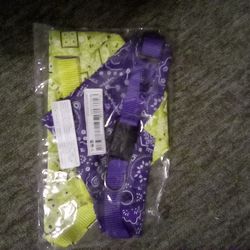 Dog collar bandana
