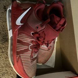 Nike LeBron Witness VII