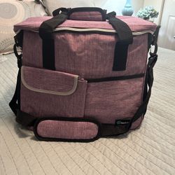 Pet Travel Bg