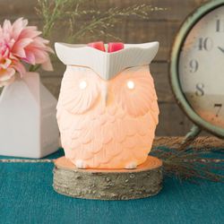 Wax Warmers! Scentsy consultant