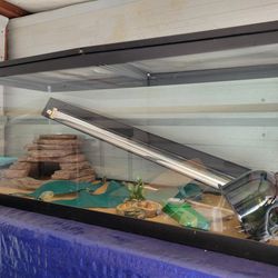 100 Gallon Tank With Dual Open Screen Lid With Reptile Accessories