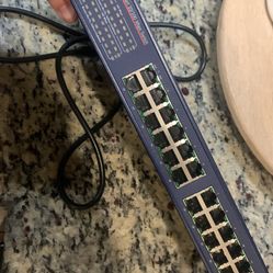 24 Port Gigabit