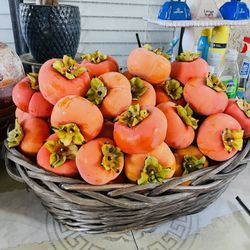Persimmons