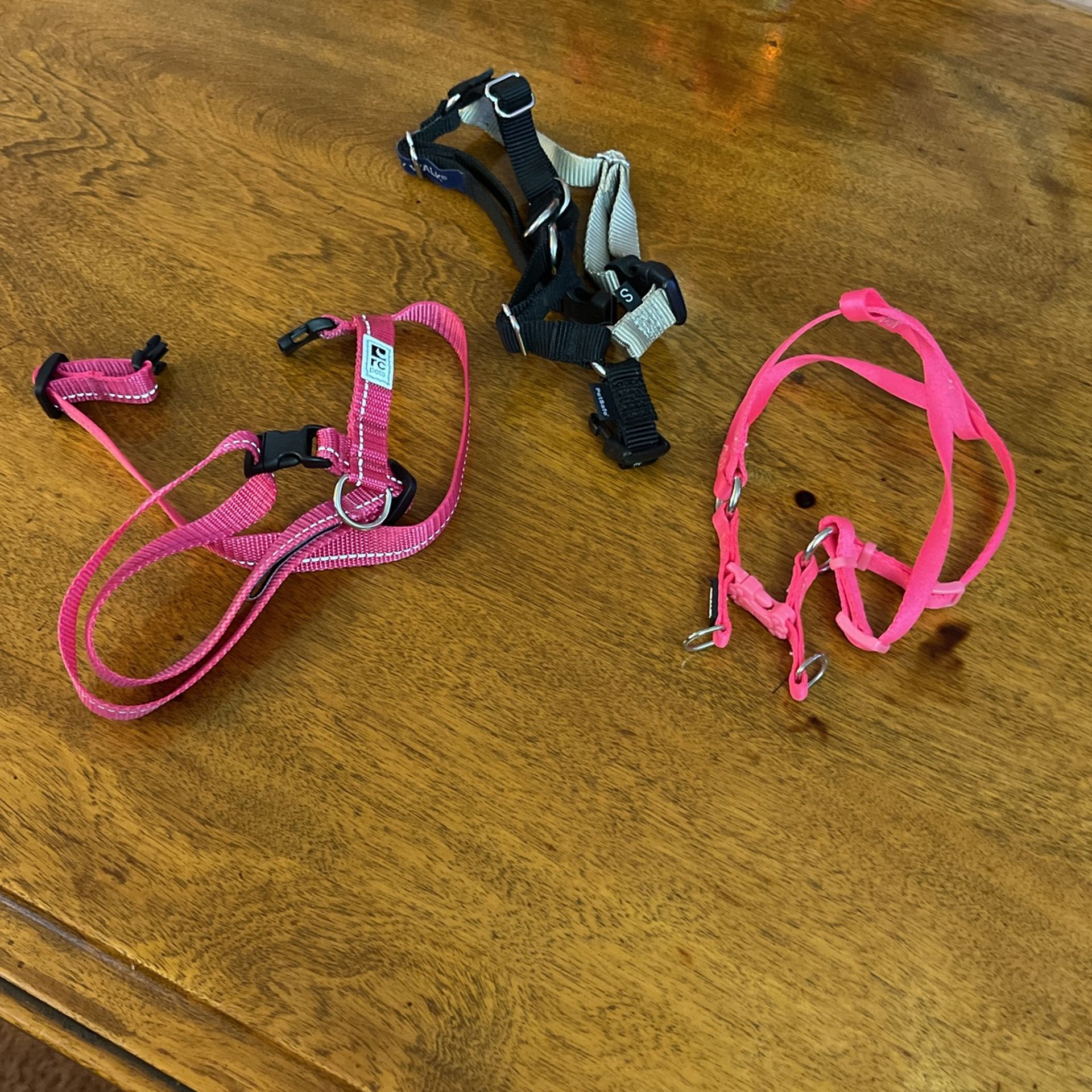 3 Small Dog Harnesses