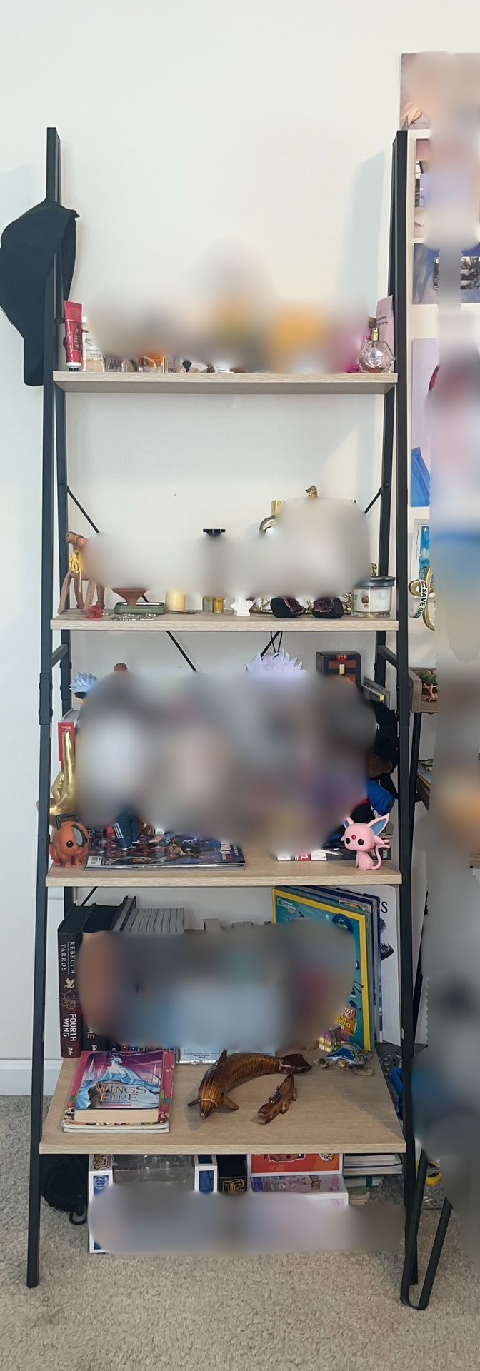 Ladder Bookshelf