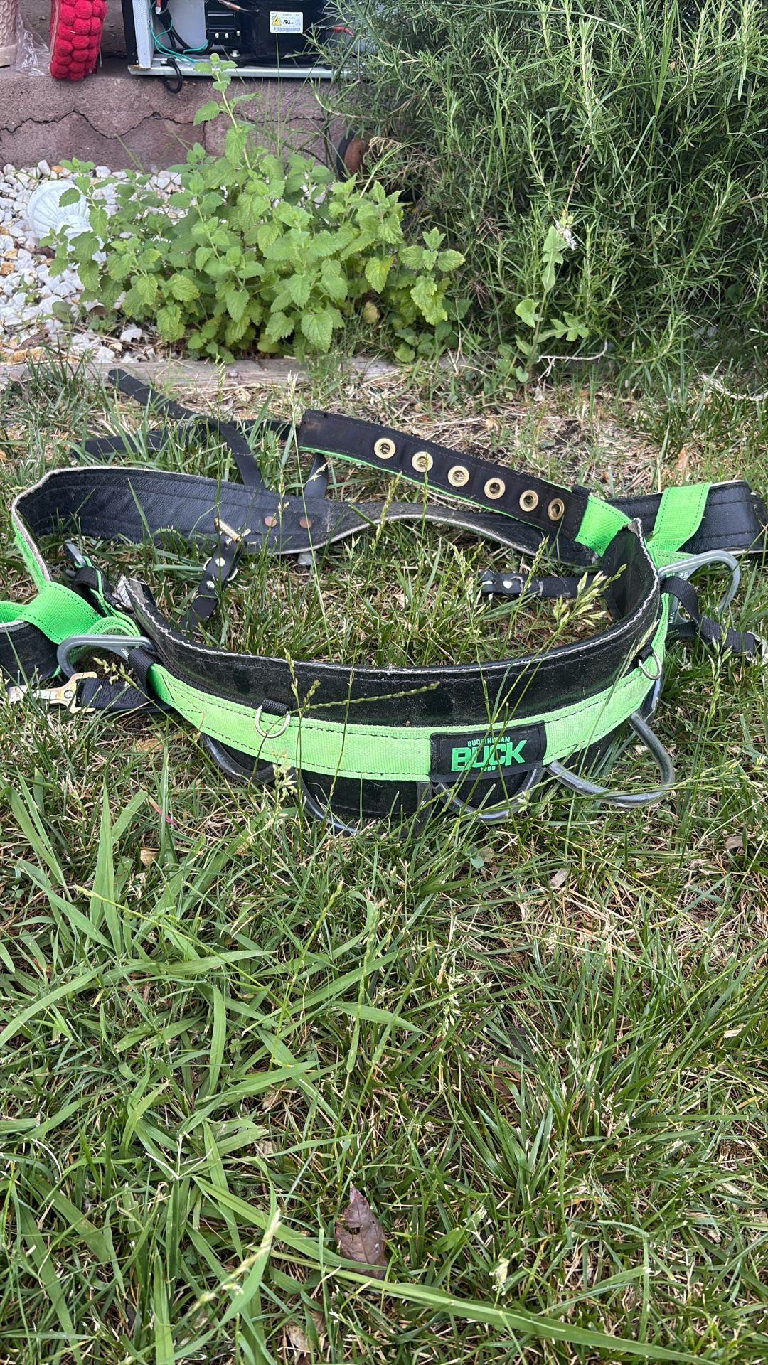 Buckingham Saddle