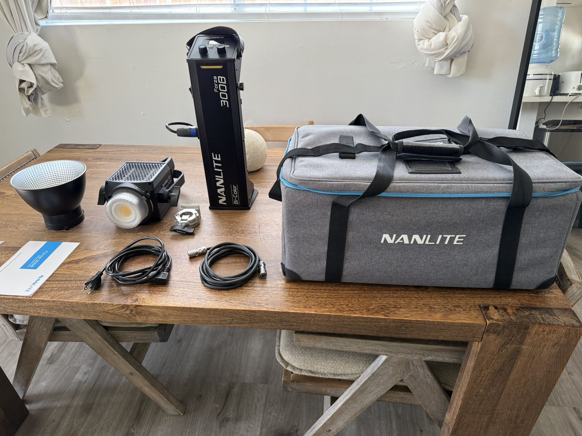 Nanlite Forza 300 LED Light Professional Studio Setup