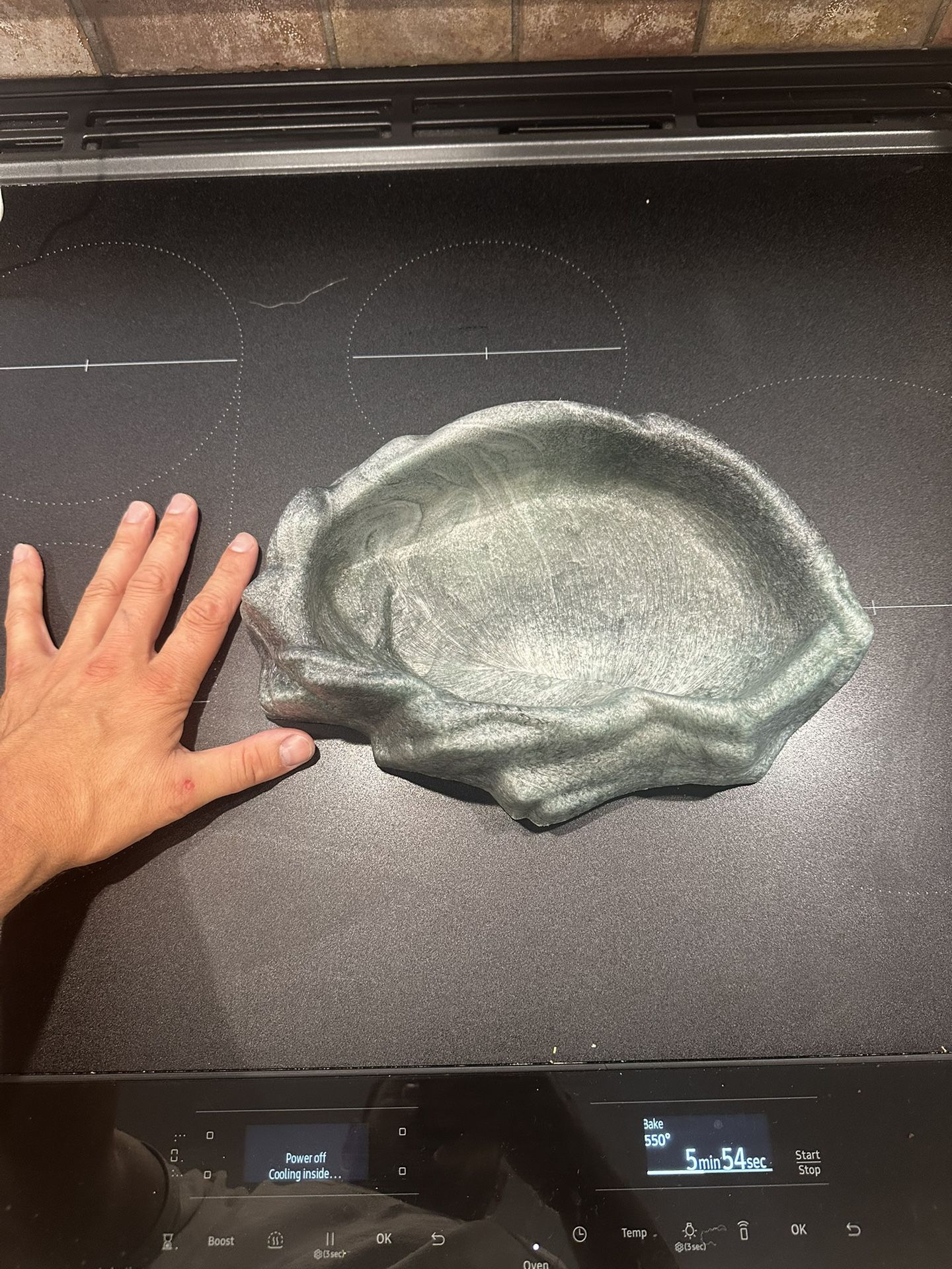 Reptile water dish