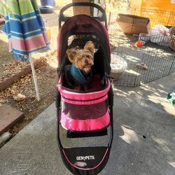 Dog Stroller 