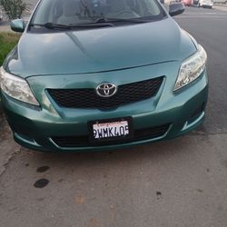 2010 Toyota Corolla