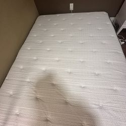 Queen Mattress 