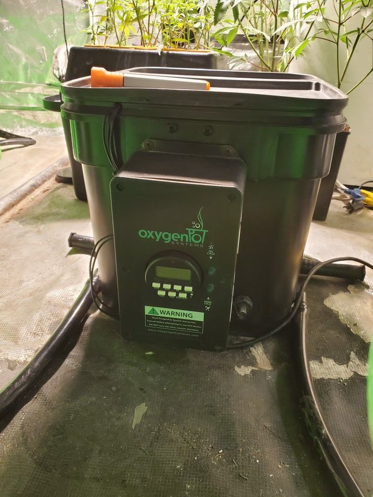 hydroponic system oxygen pots ebb and flow