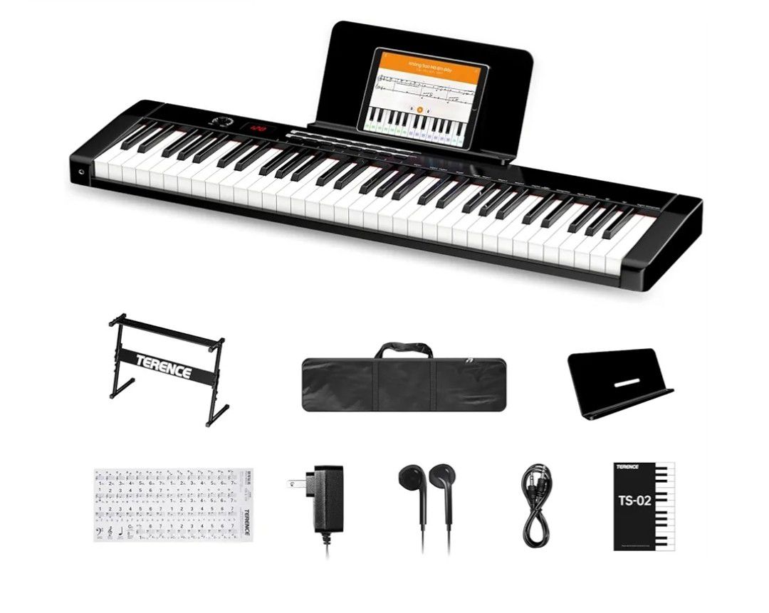 Portable Electronic Piano Terrence TS-02 $100