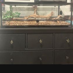 Repti-Zoo  enclosure With Heat Pad And Climbing Stick