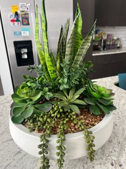 Faux/Fake Snake Plant Bowl and others
