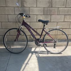 Schwin Bike With Gears