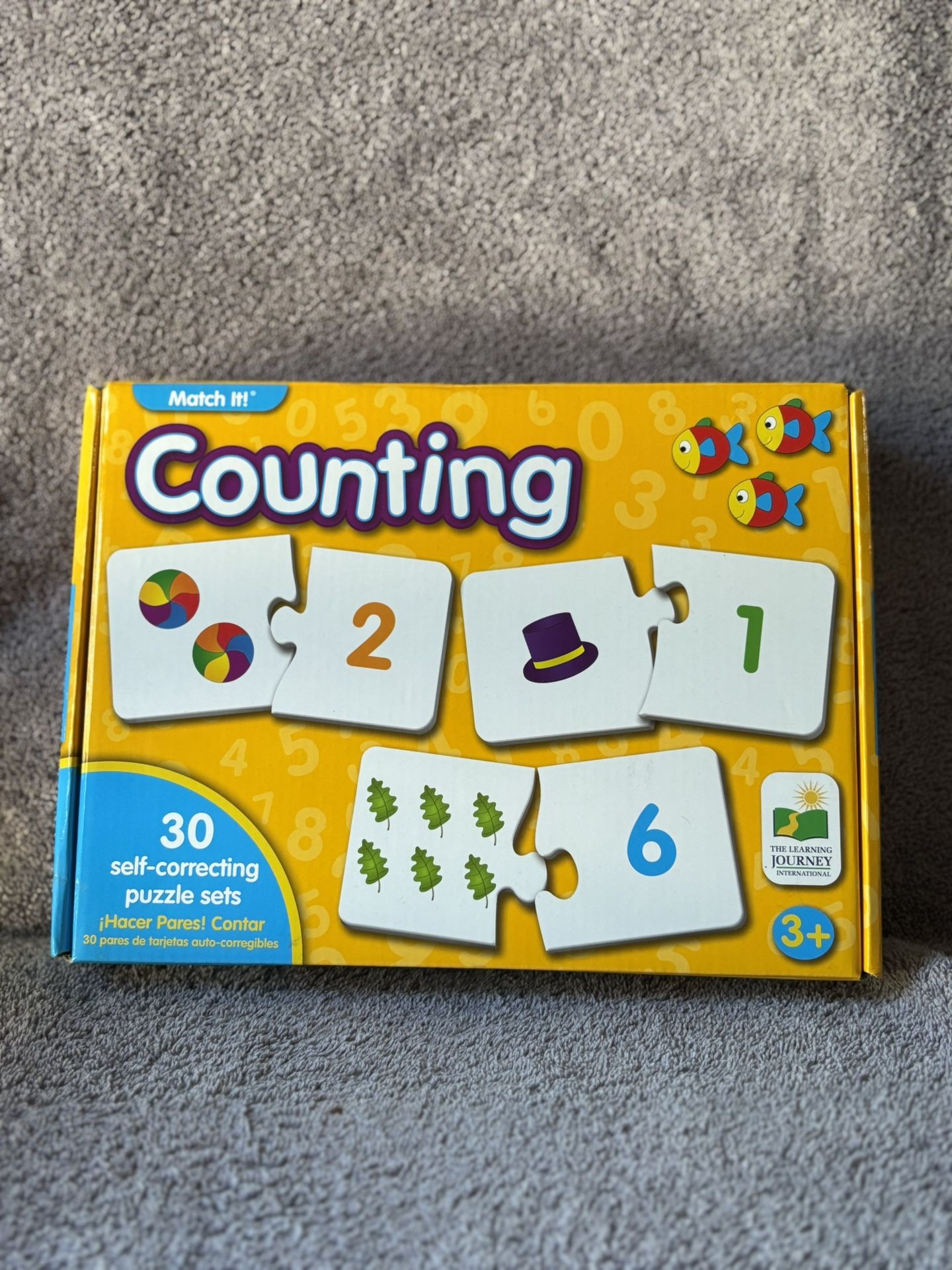 Counting Puzzle
