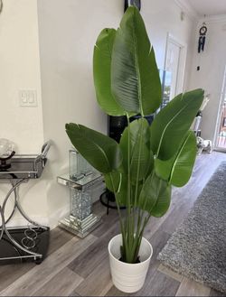 Pretty artificial plant 5ft tall with white planter! Brand new