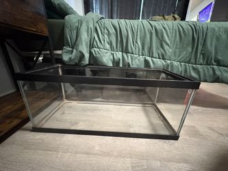 20 gallon tank no lid
