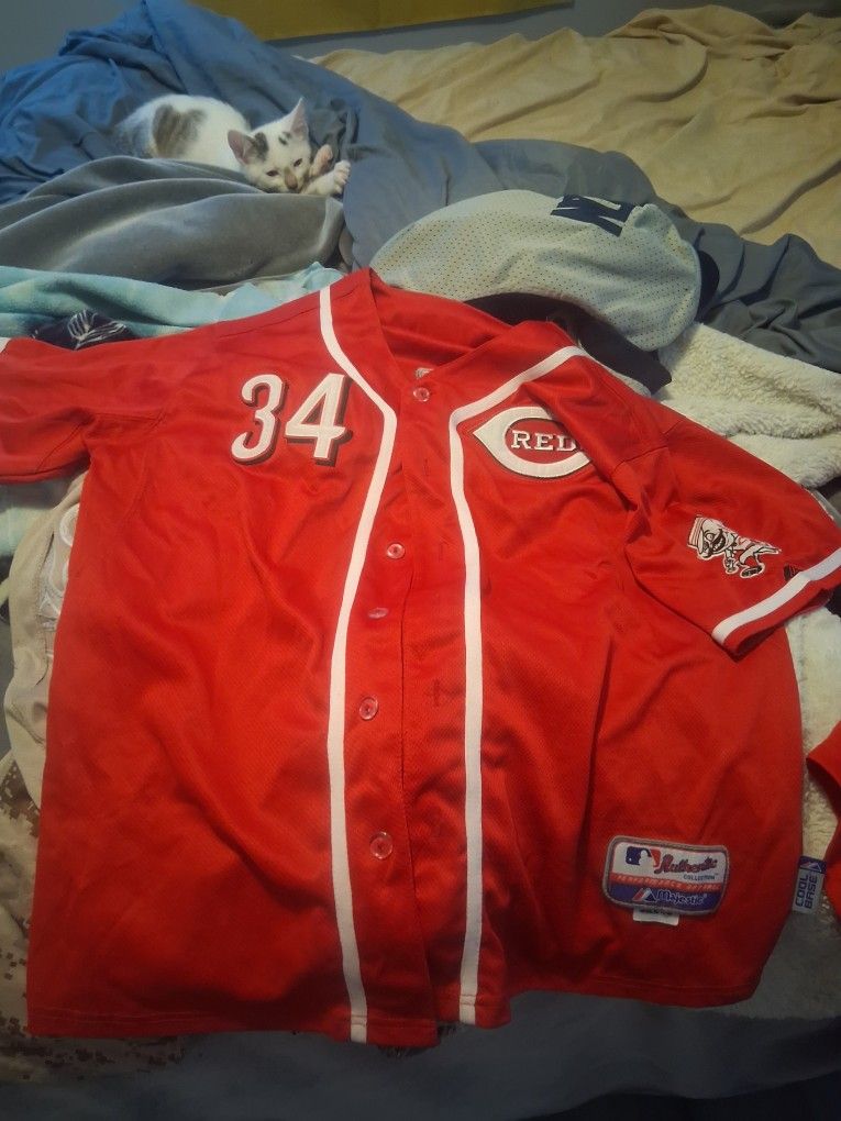 Cincinnati Reds Offical 