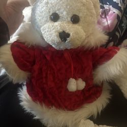 Rare Teddy Bear
