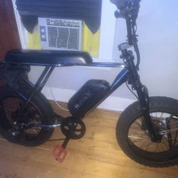 Electric Bike