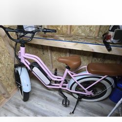 Ladys Pretty In Pink Bike