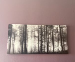 Black and White Forest Canvas Wall Art