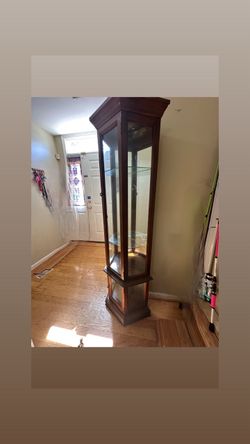 Tall Wood and Glass Curio Display Cabinet