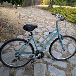Specialized Crossroads Bike