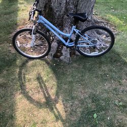24” Mountain Bike