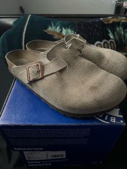 Birkenstock Suede Clogs with Box
