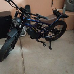Electric Bike 
