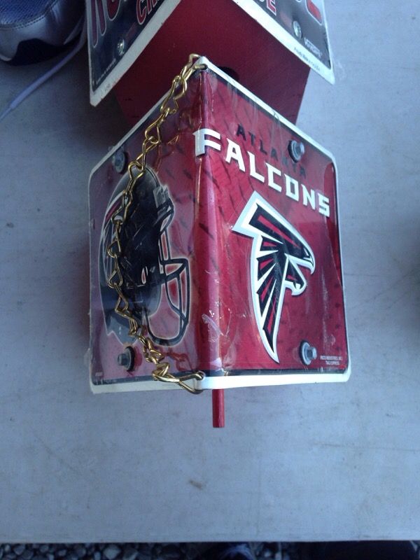 Falcons bird house
