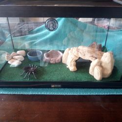 Critter Cage 