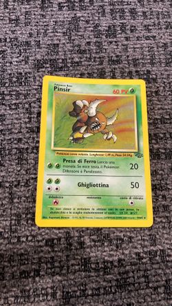 Pinsir 1995 hollow