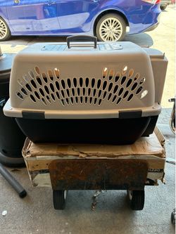 Small pet carrier (used)