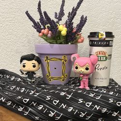 Hand painted Terra Cotta Plant Pot “Friends TV Show Theme” 