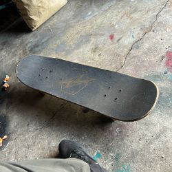 Adult Skateboard 