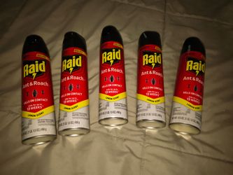 RAID-ANT & ROACH $5 or 3 FOR $12