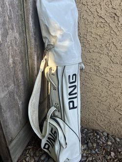 Vintage Leather Ping Bag