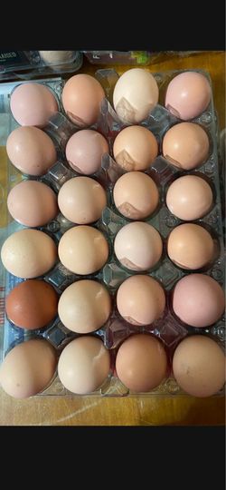 FRESH BROWN EGGS
