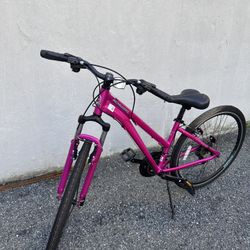 schwinn 28’’ women trailway
