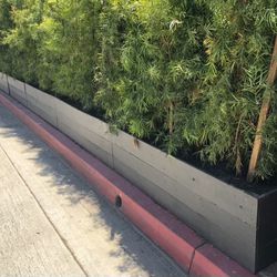Custom Beautiful privacy wall Tomato Tower Planter Box Garden Bed Decor Outdoor Design cedar redwood