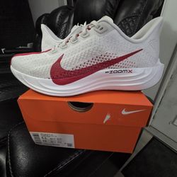 Nike Pegasus Plus Platinum Tint University Red Size 8.5 Men 
