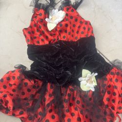 Lady Bug Costume 