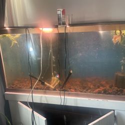 75 Gallon Reef Ready Tank. 