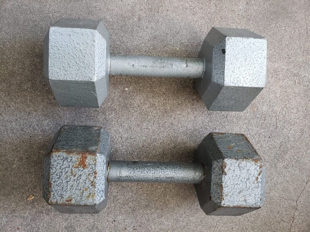 Iron Dumbbells 20lbs 